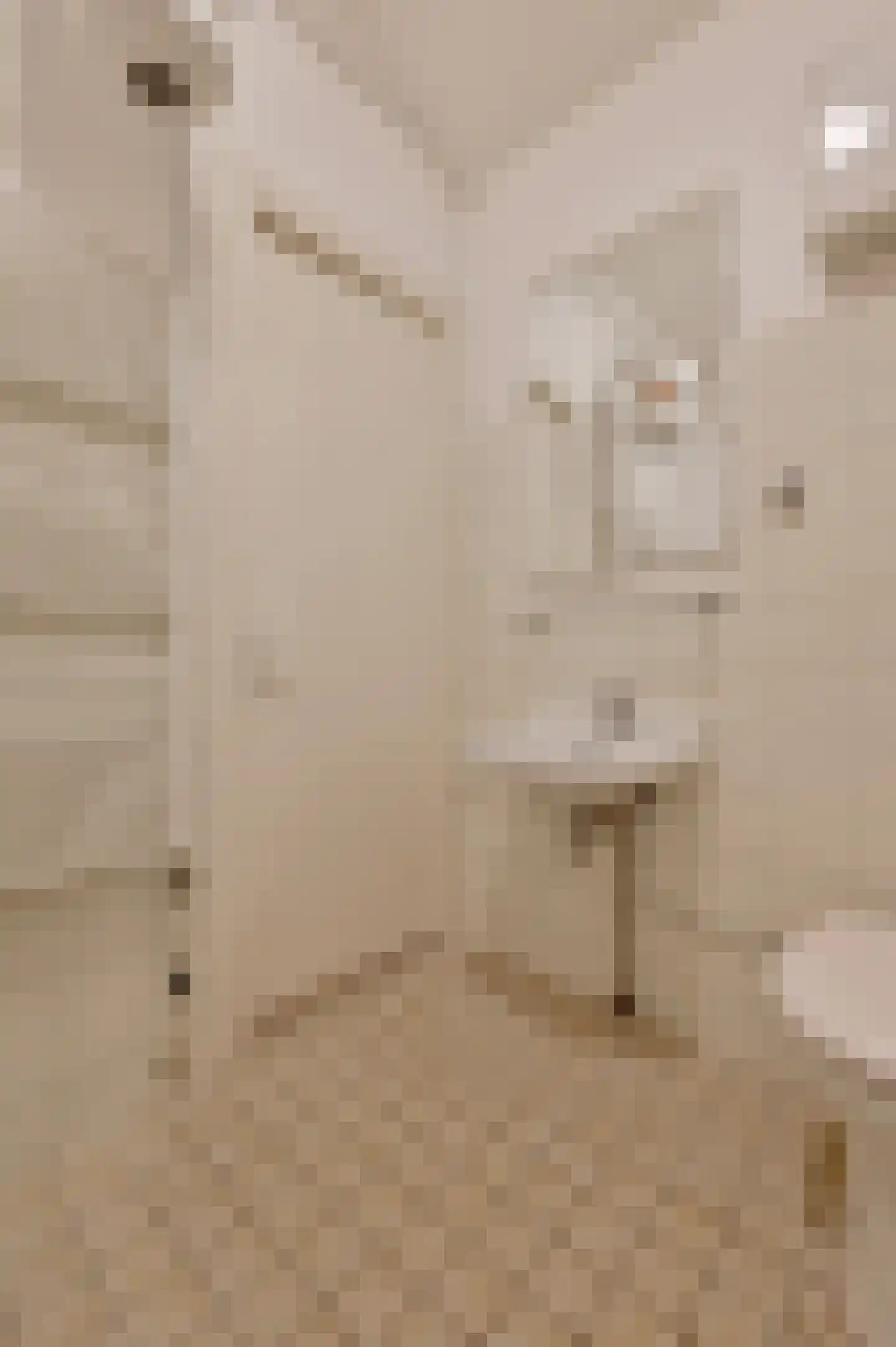 Nickeriestraat 26 1 Amsterdam thumbnail 23