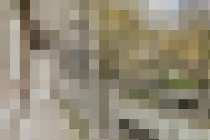 Nickeriestraat 3 1 Amsterdam thumbnail 15