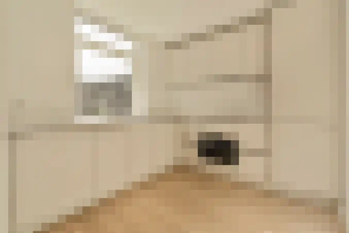 Nickeriestraat 33 2 Amsterdam thumbnail 8
