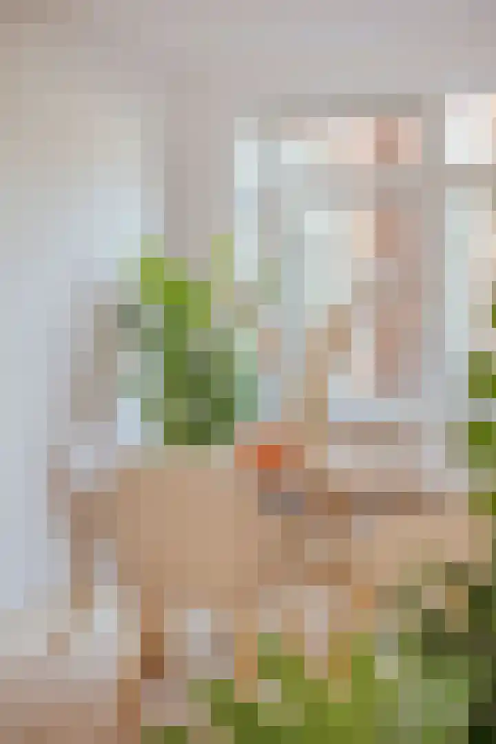 Nickeriestraat 33 2 Amsterdam thumbnail 9
