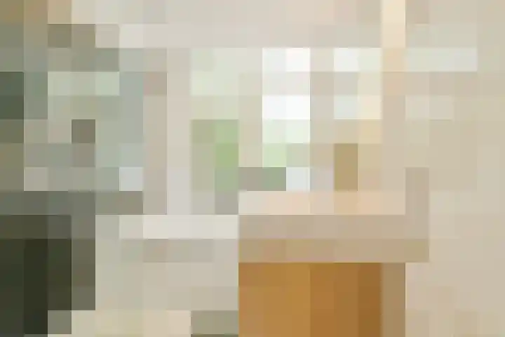 Nickeriestraat 39 1 Amsterdam thumbnail 4