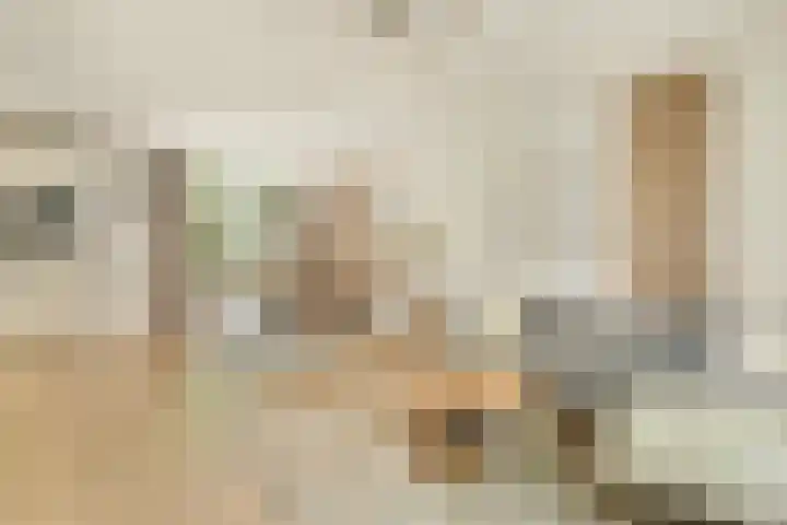 Nickeriestraat 39 1 Amsterdam thumbnail 7