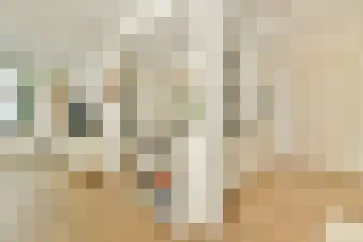 Nickeriestraat 39 1 Amsterdam thumbnail 8