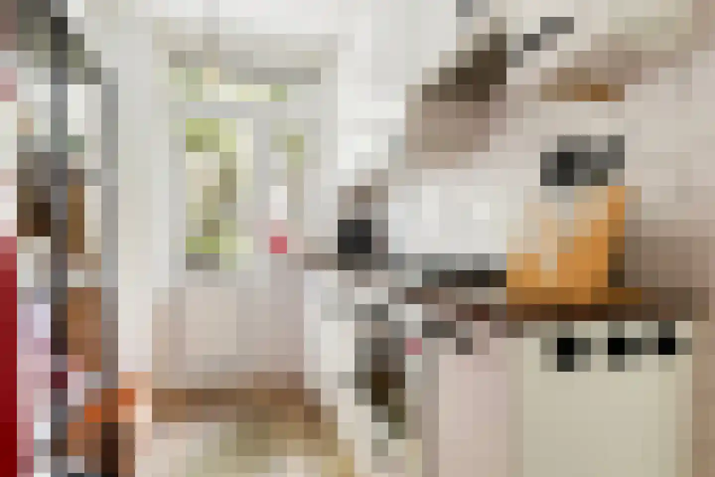 Nickeriestraat 40 1 Amsterdam thumbnail 10