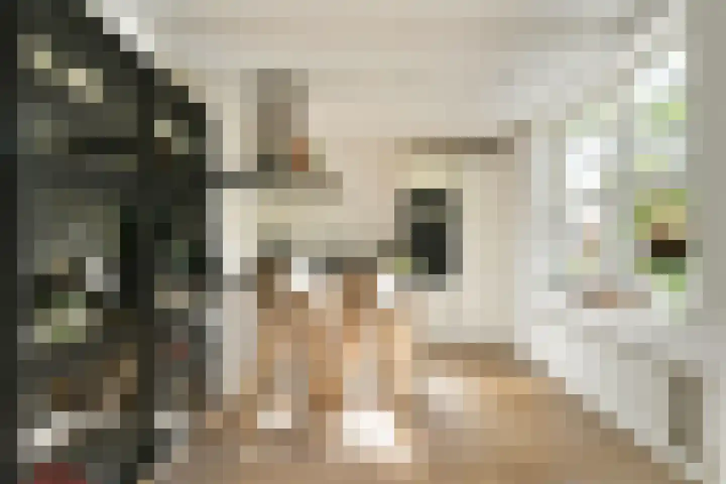 Nickeriestraat 60 3 Amsterdam thumbnail 9