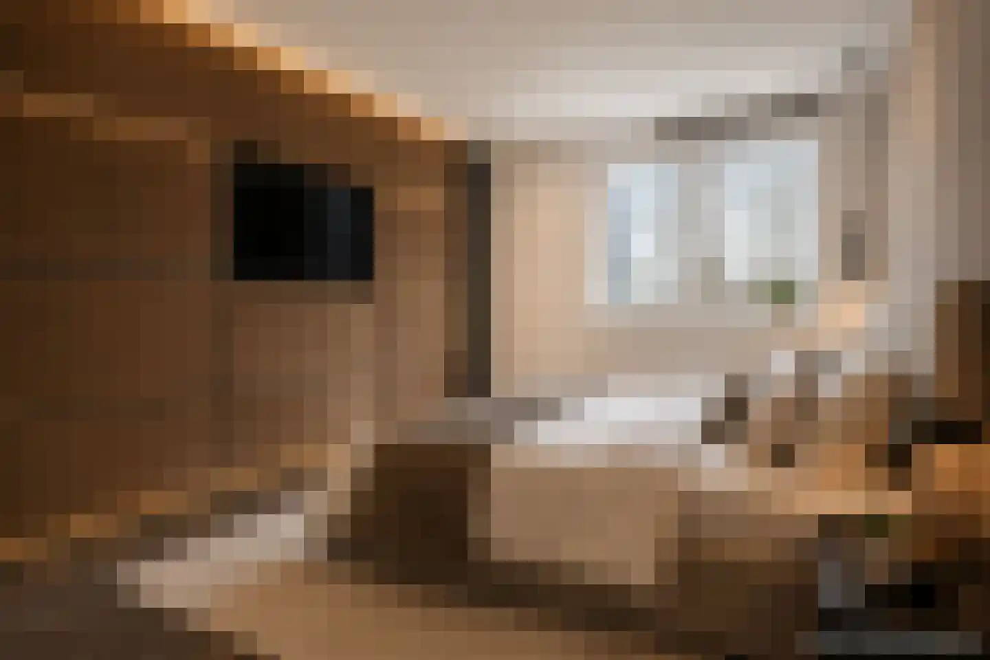 Nico Andriessenstraat 109 Haarlem thumbnail 17