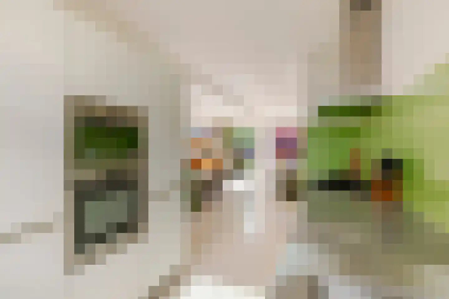 Nico Andriessenstraat 14 Haarlem thumbnail 10