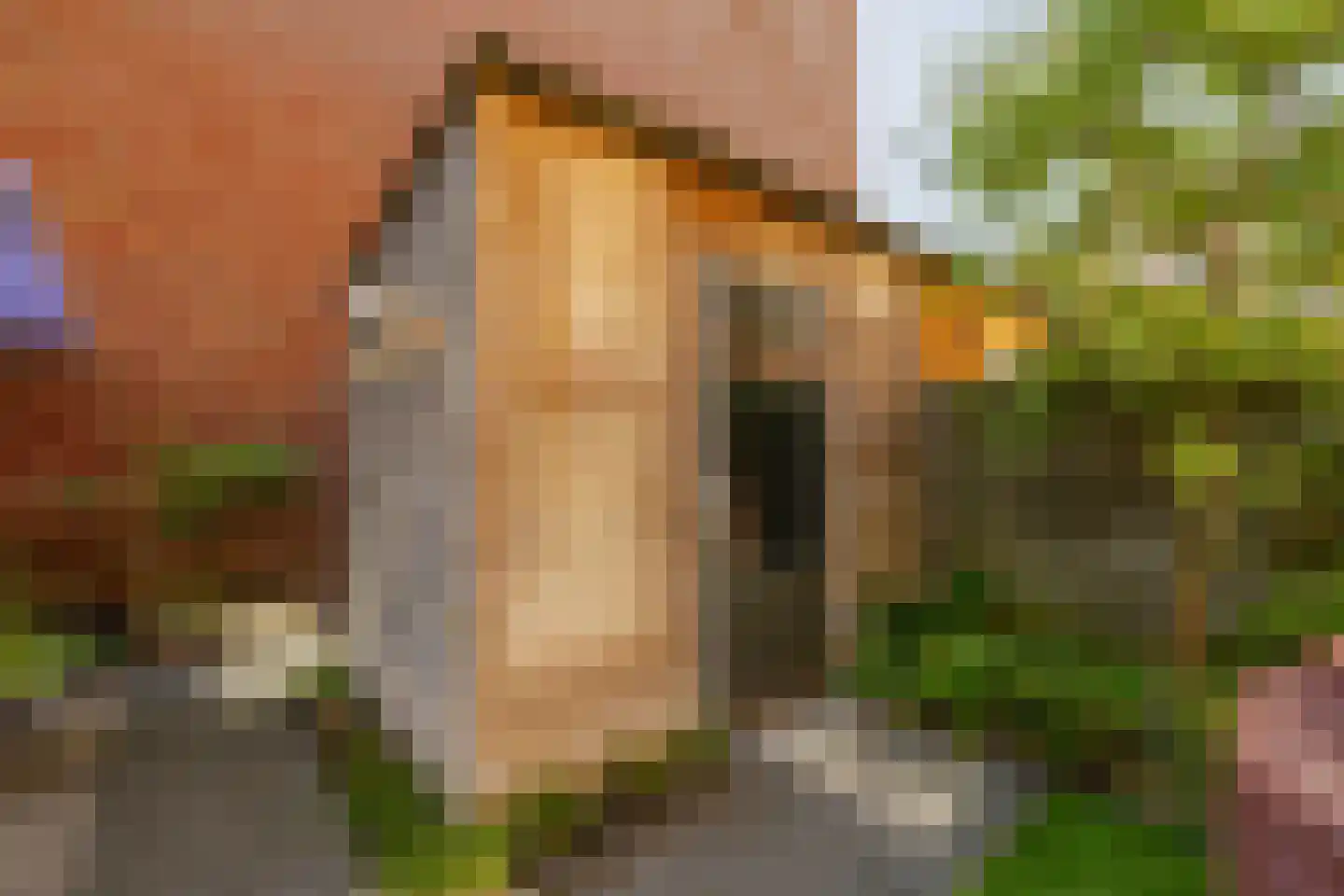 Nico Andriessenstraat 14 Haarlem thumbnail 19