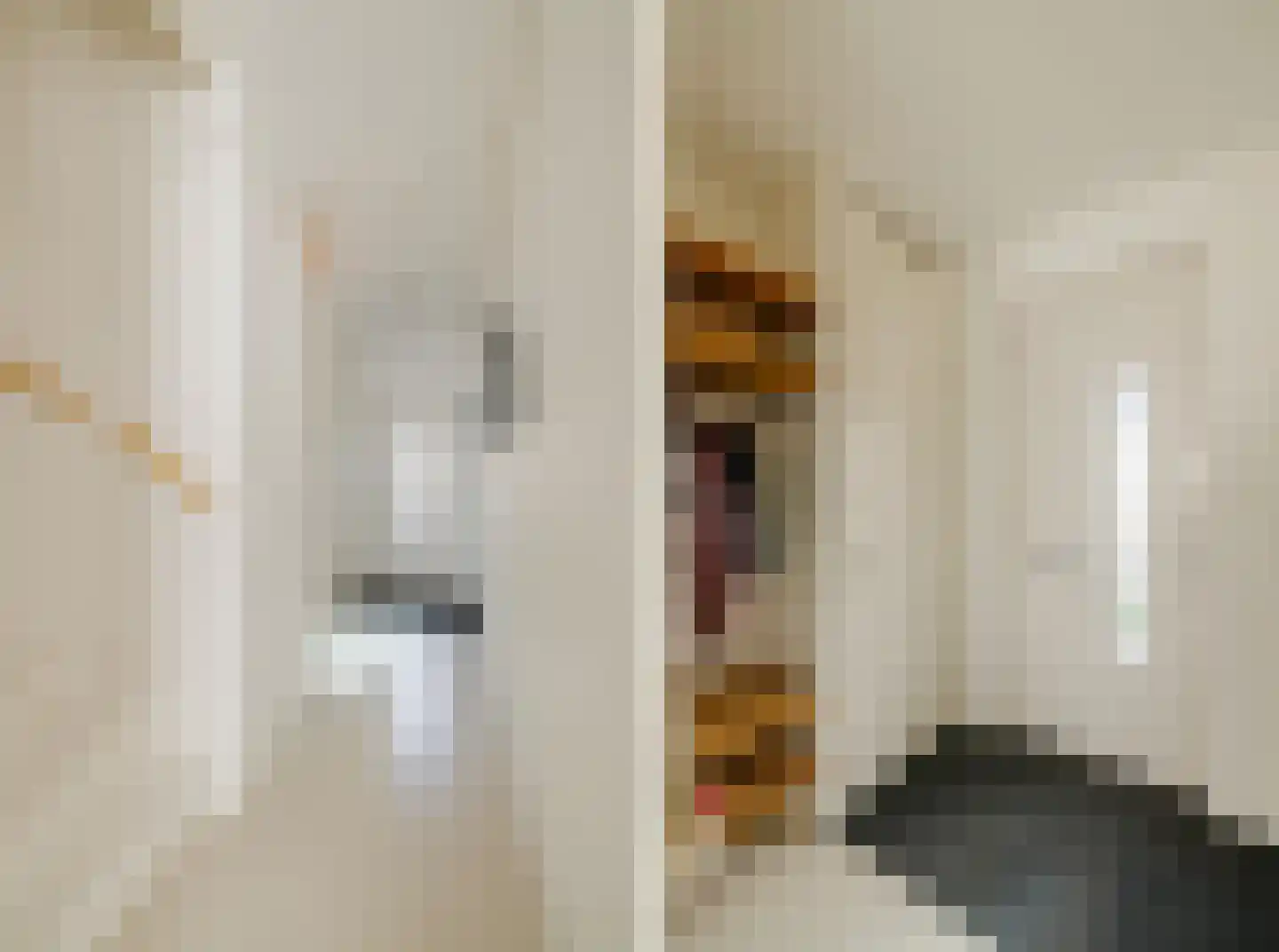 Nico Andriessenstraat 14 Haarlem thumbnail 22