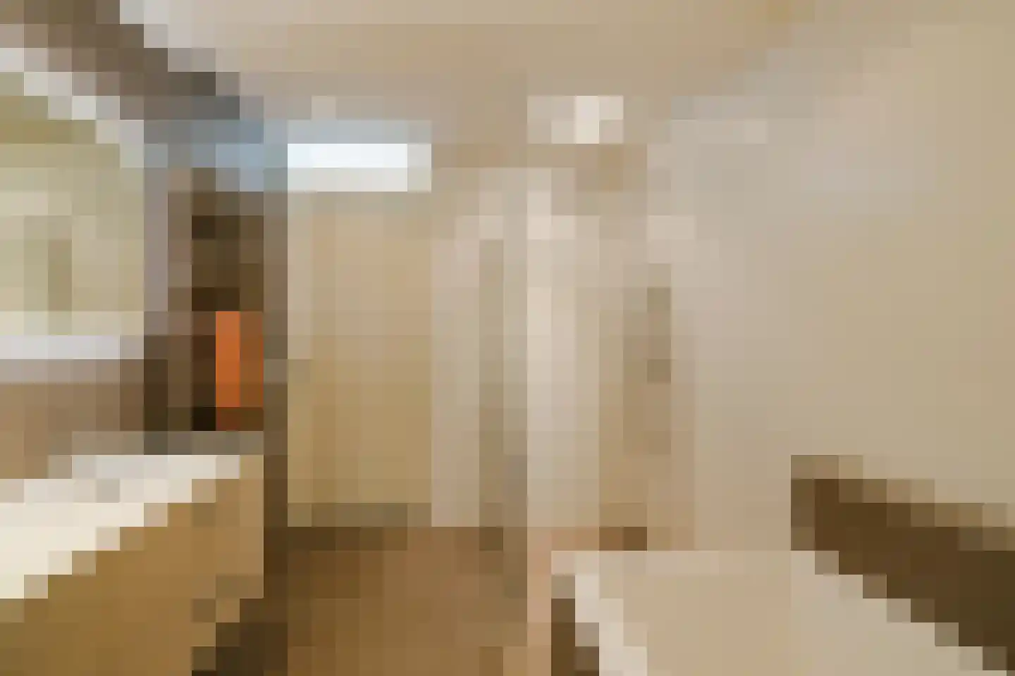 Nico Andriessenstraat 14 Haarlem thumbnail 31