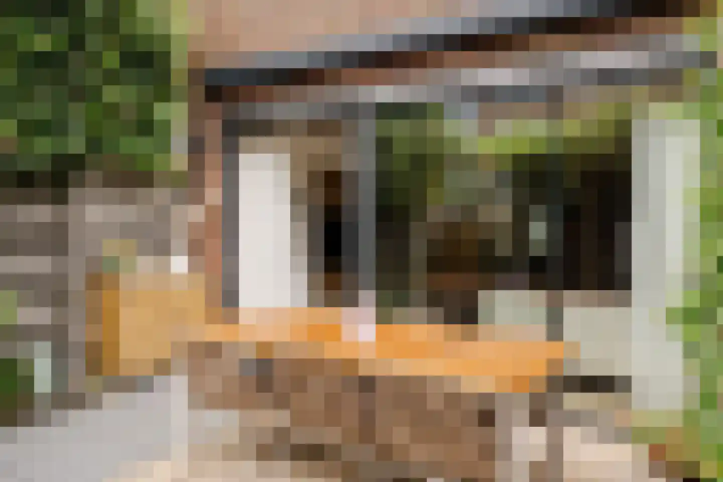 Nico Andriessenstraat 16 Haarlem thumbnail 21