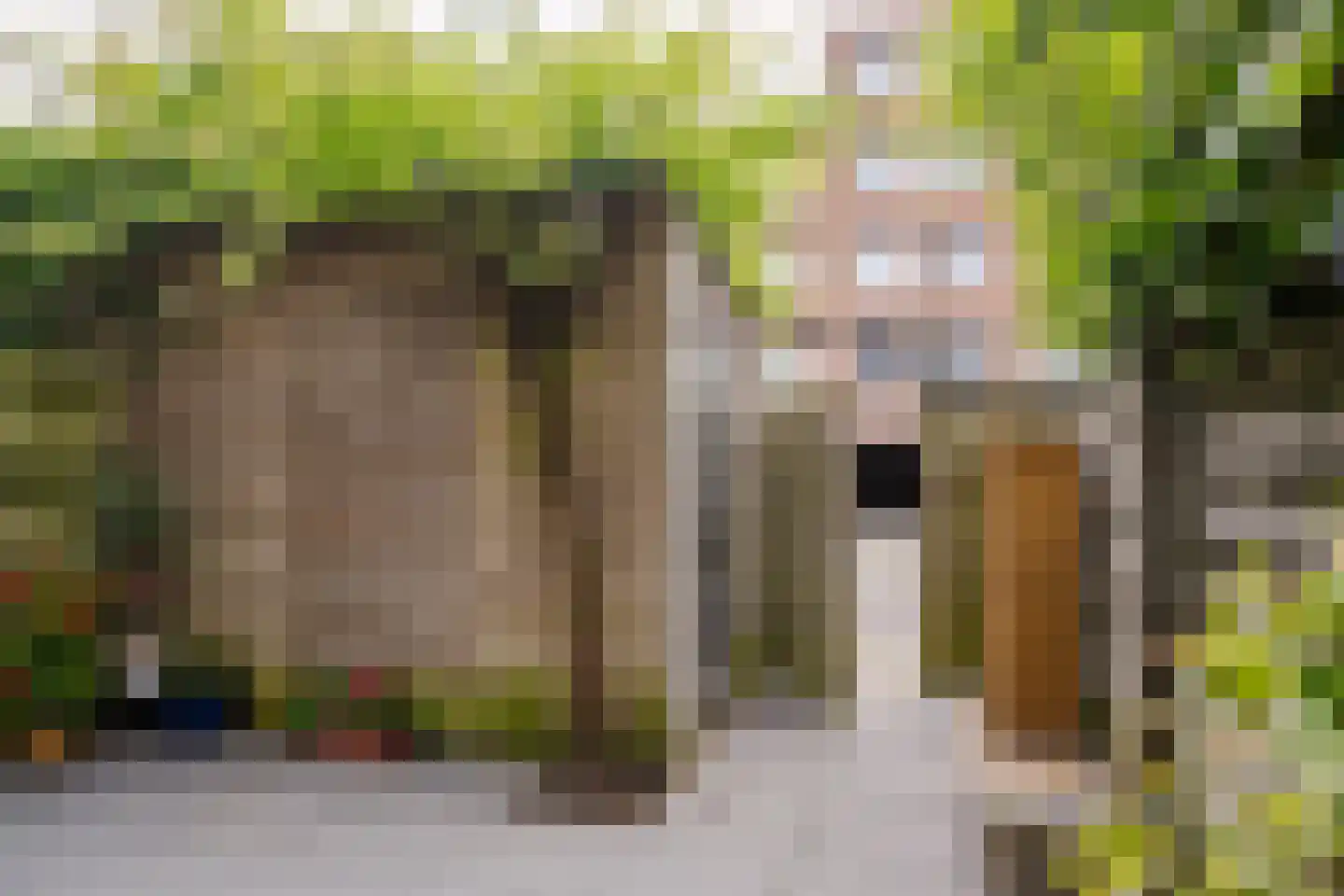 Nico Andriessenstraat 16 Haarlem thumbnail 23