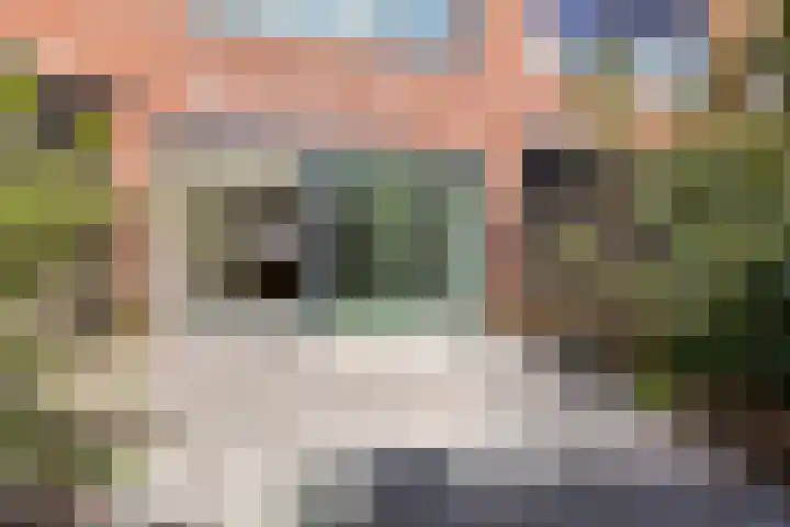 Nico Andriessenstraat 32 Haarlem thumbnail 14