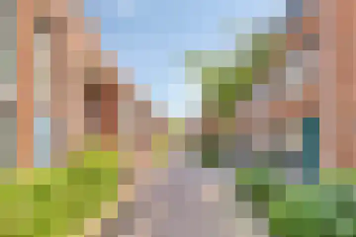 Nico Andriessenstraat 32 Haarlem thumbnail 32