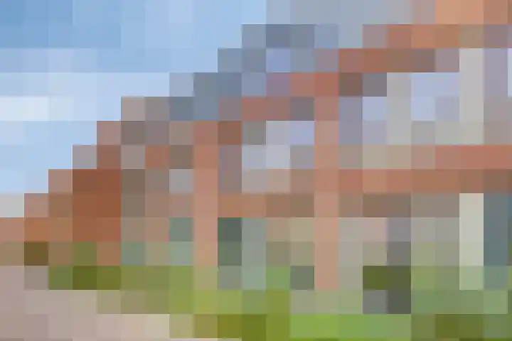 Nico Andriessenstraat 32 Haarlem thumbnail 40