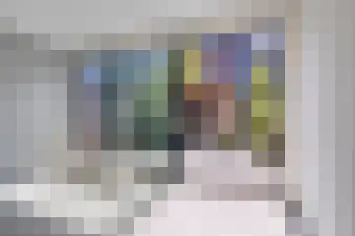 Nico Andriessenstraat 32 Haarlem thumbnail 8
