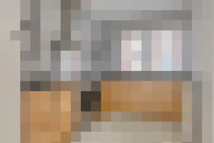 Nico Andriessenstraat 32 Haarlem thumbnail 9