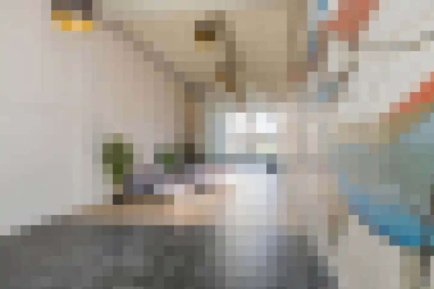 Nico Andriessenstraat 43 A 19 Haarlem thumbnail 10