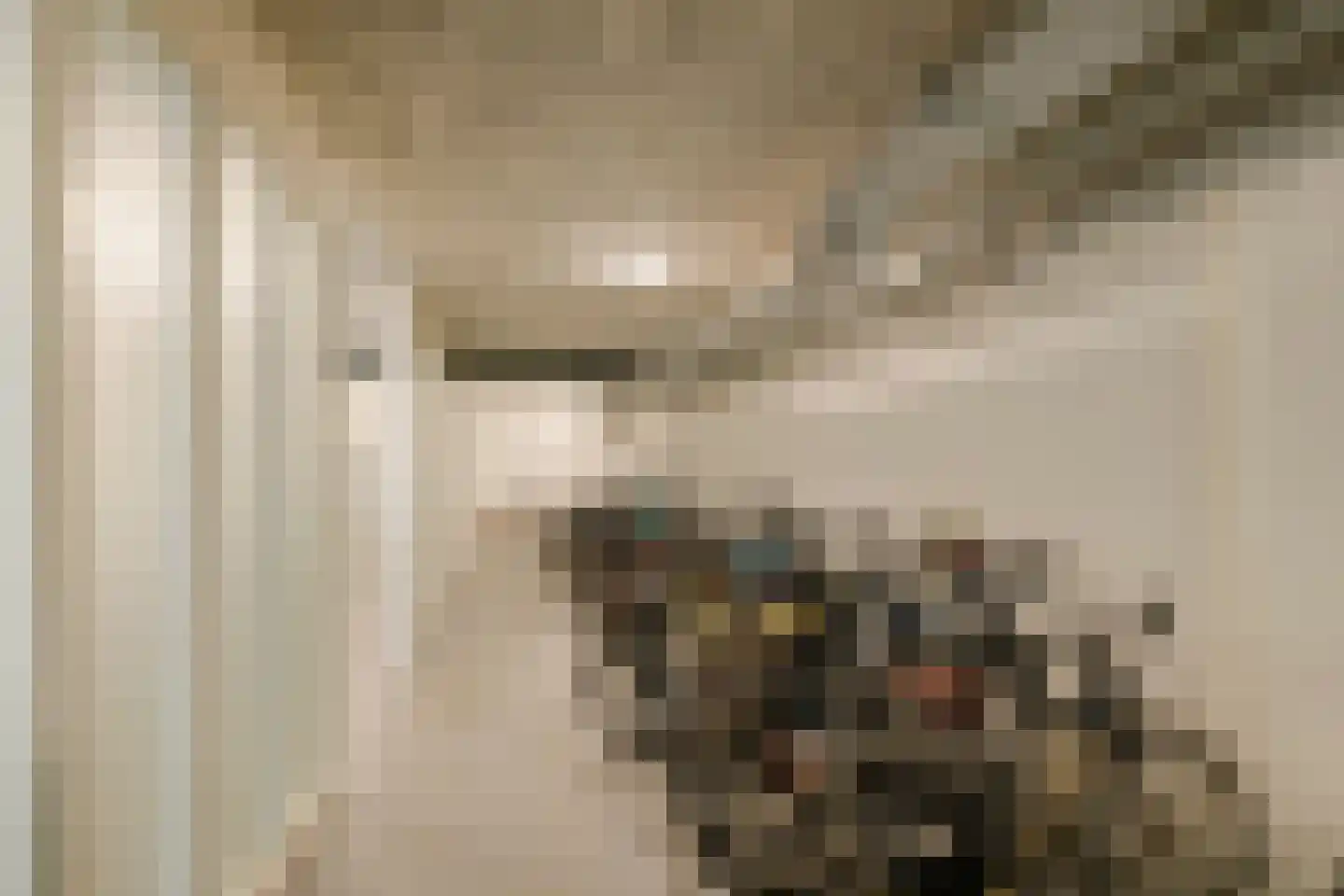 Nico Andriessenstraat 43 A 24 Haarlem thumbnail 32