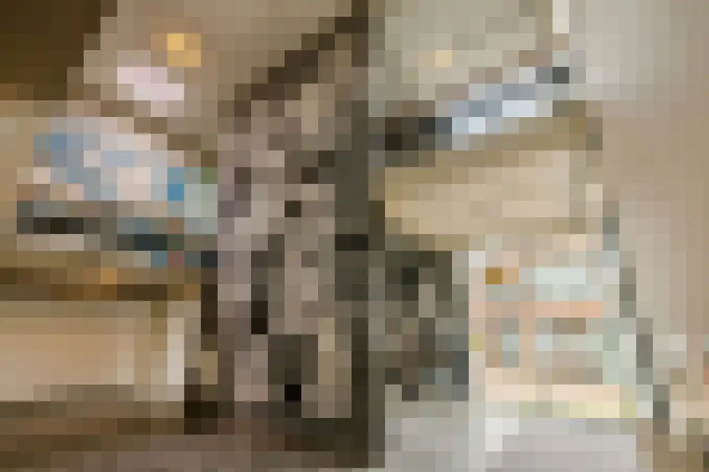 Nico Andriessenstraat 43 A 24 Haarlem thumbnail 33