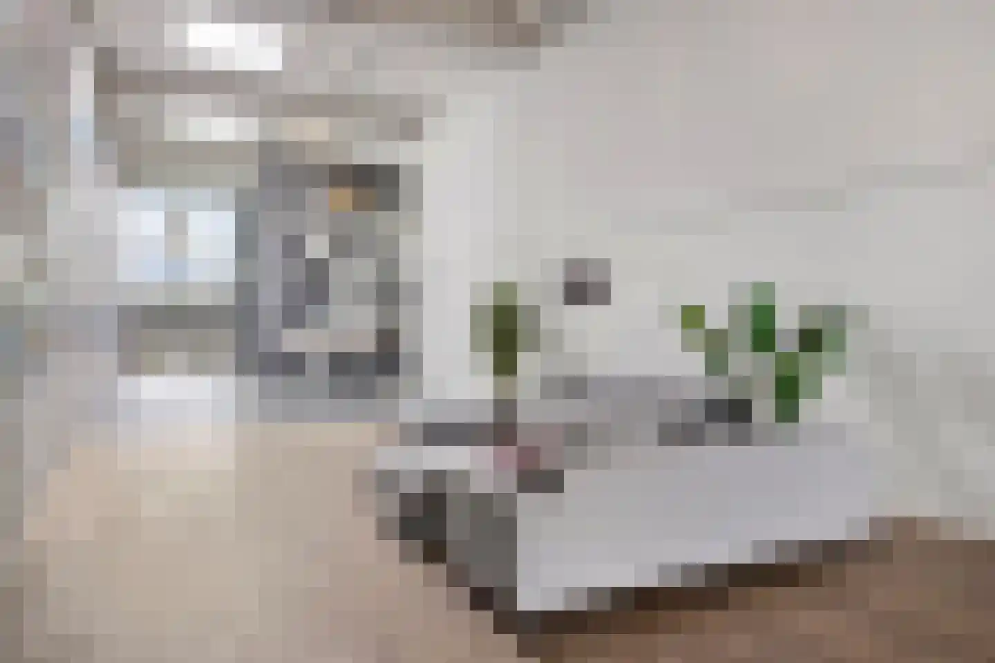 Nico Andriessenstraat 43 A 33 Haarlem thumbnail 20