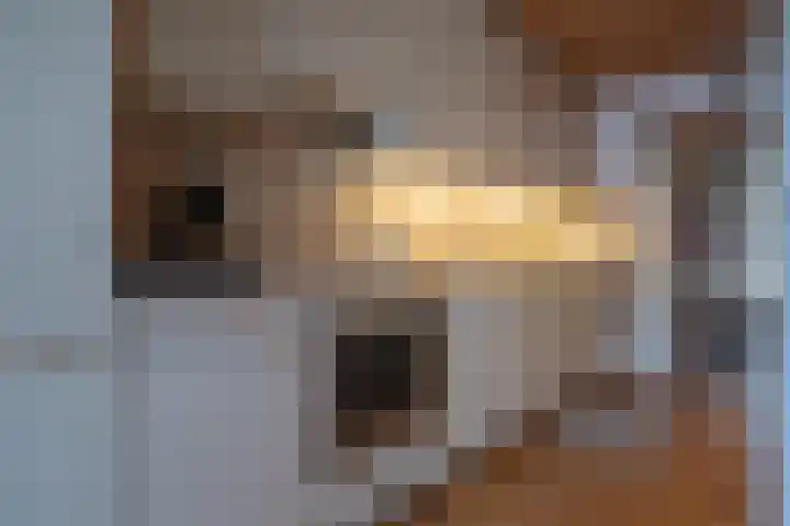 Nico Bergsteijnweg 123 Woudenberg thumbnail 14