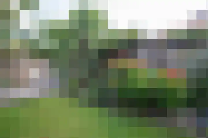 Nico Bergsteijnweg 123 Woudenberg thumbnail 25