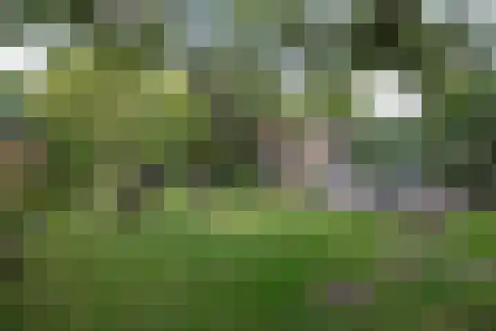 Nico Bergsteijnweg 123 Woudenberg thumbnail 27
