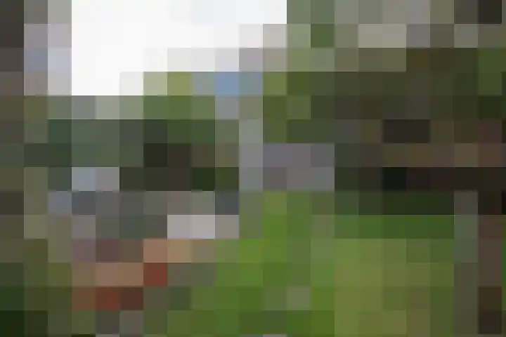 Nico Bergsteijnweg 123 Woudenberg thumbnail 28