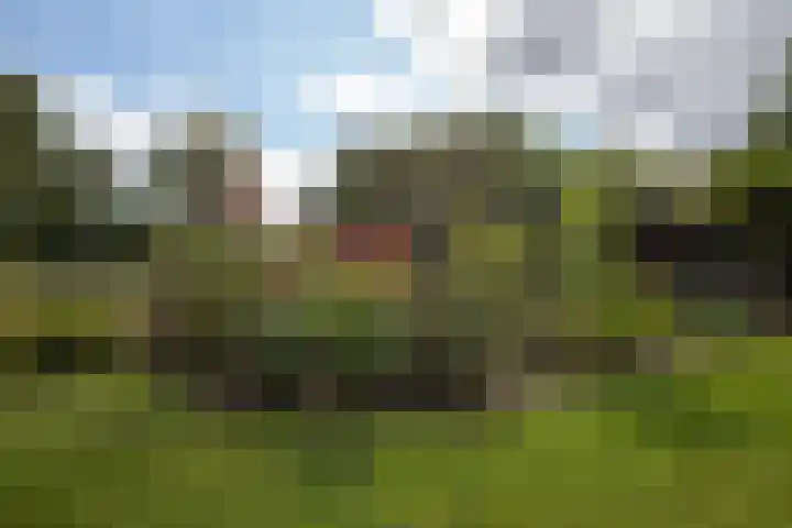 Nico Bergsteijnweg 123 Woudenberg thumbnail 30