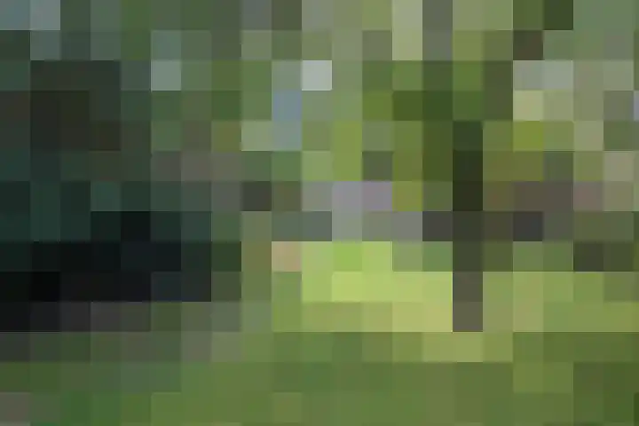 Nico Bergsteijnweg 123 Woudenberg thumbnail 31