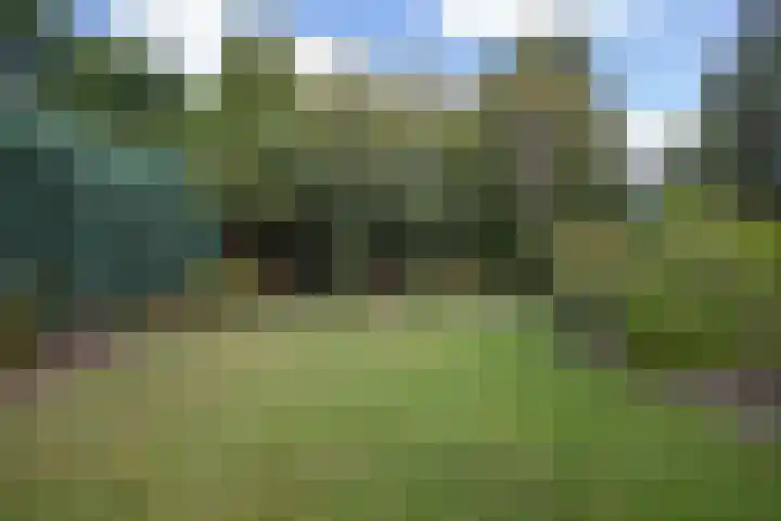 Nico Bergsteijnweg 123 Woudenberg thumbnail 32