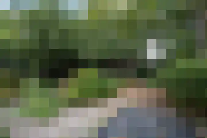 Nico Bergsteijnweg 123 Woudenberg thumbnail 34
