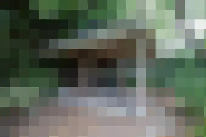 Nico Bergsteijnweg 123 Woudenberg thumbnail 35