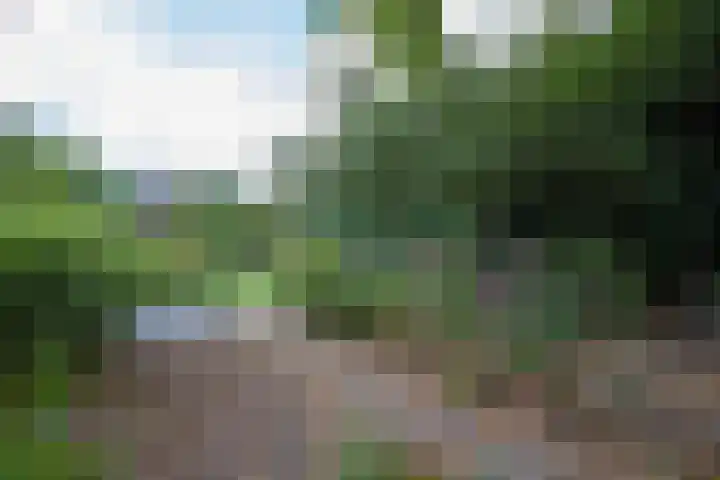 Nico Bergsteijnweg 123 Woudenberg thumbnail 37
