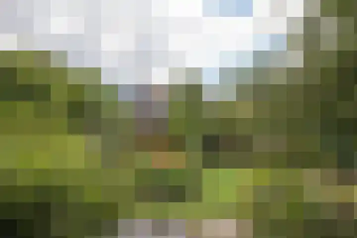 Nico Bergsteijnweg 123 Woudenberg thumbnail 38