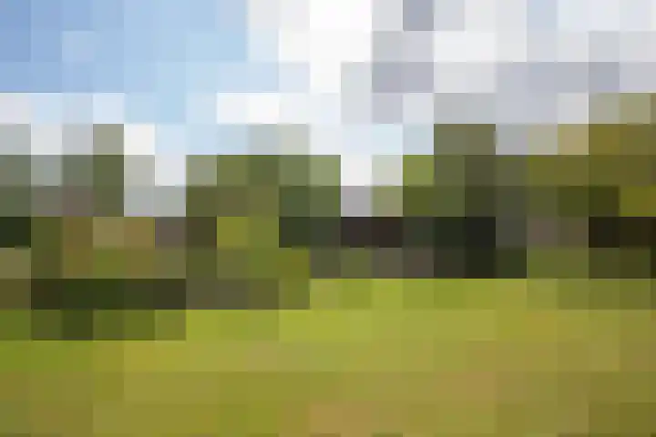 Nico Bergsteijnweg 123 Woudenberg thumbnail 4