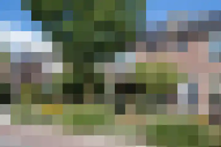 Nico Bergsteijnweg 123 Woudenberg thumbnail 5