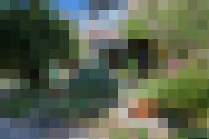 Nico Bergsteijnweg 123 Woudenberg thumbnail 6