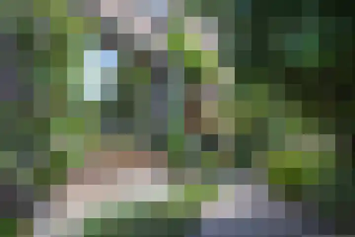 Nico Bergsteijnweg 123 Woudenberg thumbnail 7