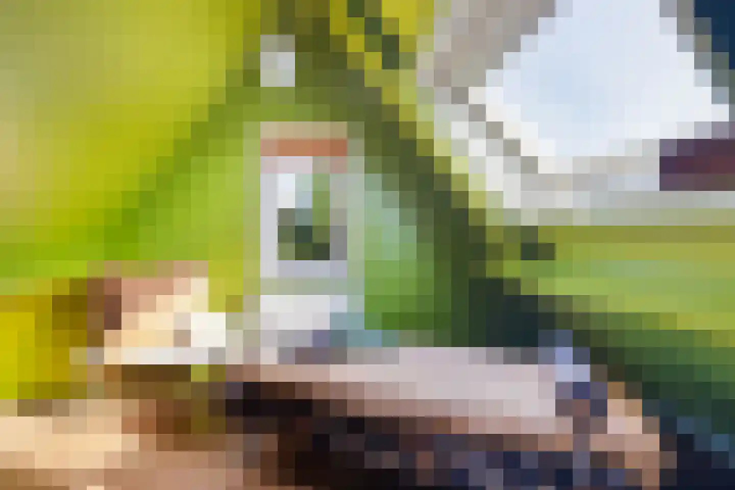 Nico Bergsteijnweg 145 Woudenberg thumbnail 37