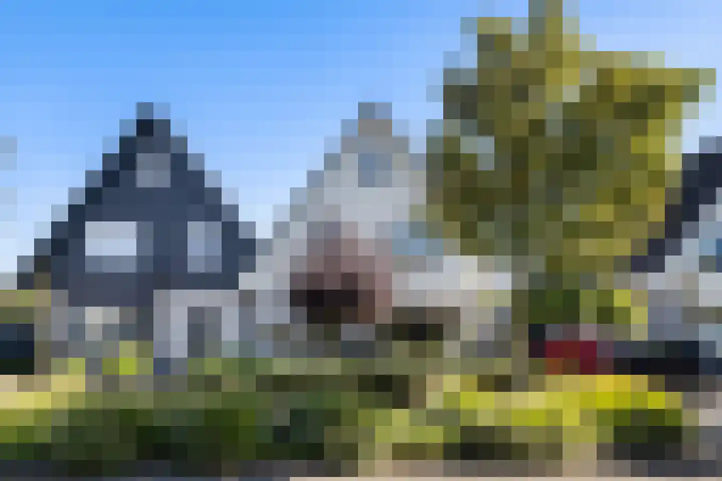 Nico Bergsteijnweg 145 Woudenberg thumbnail 38