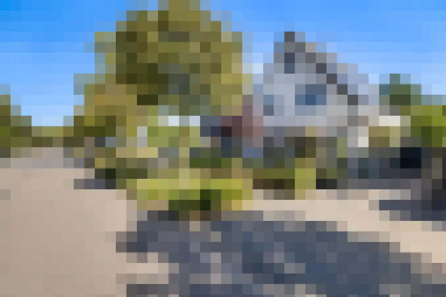 Nico Bergsteijnweg 145 Woudenberg thumbnail 39