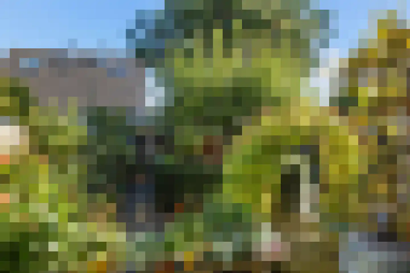 Nico Bergsteijnweg 145 Woudenberg thumbnail 43