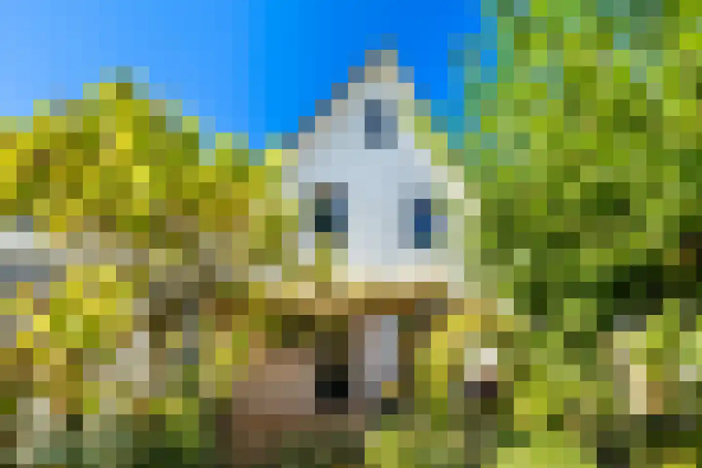 Nico Bergsteijnweg 145 Woudenberg thumbnail 44