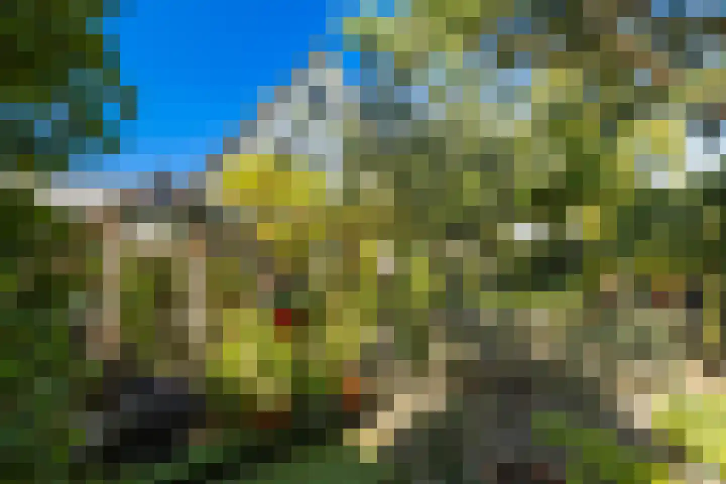 Nico Bergsteijnweg 145 Woudenberg thumbnail 45