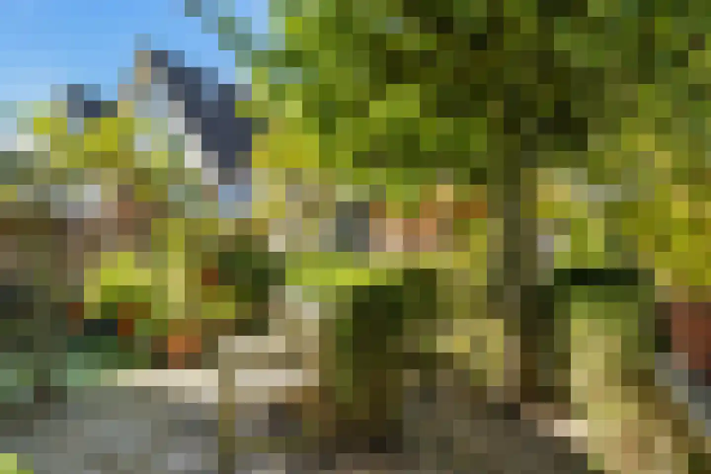 Nico Bergsteijnweg 145 Woudenberg thumbnail 48