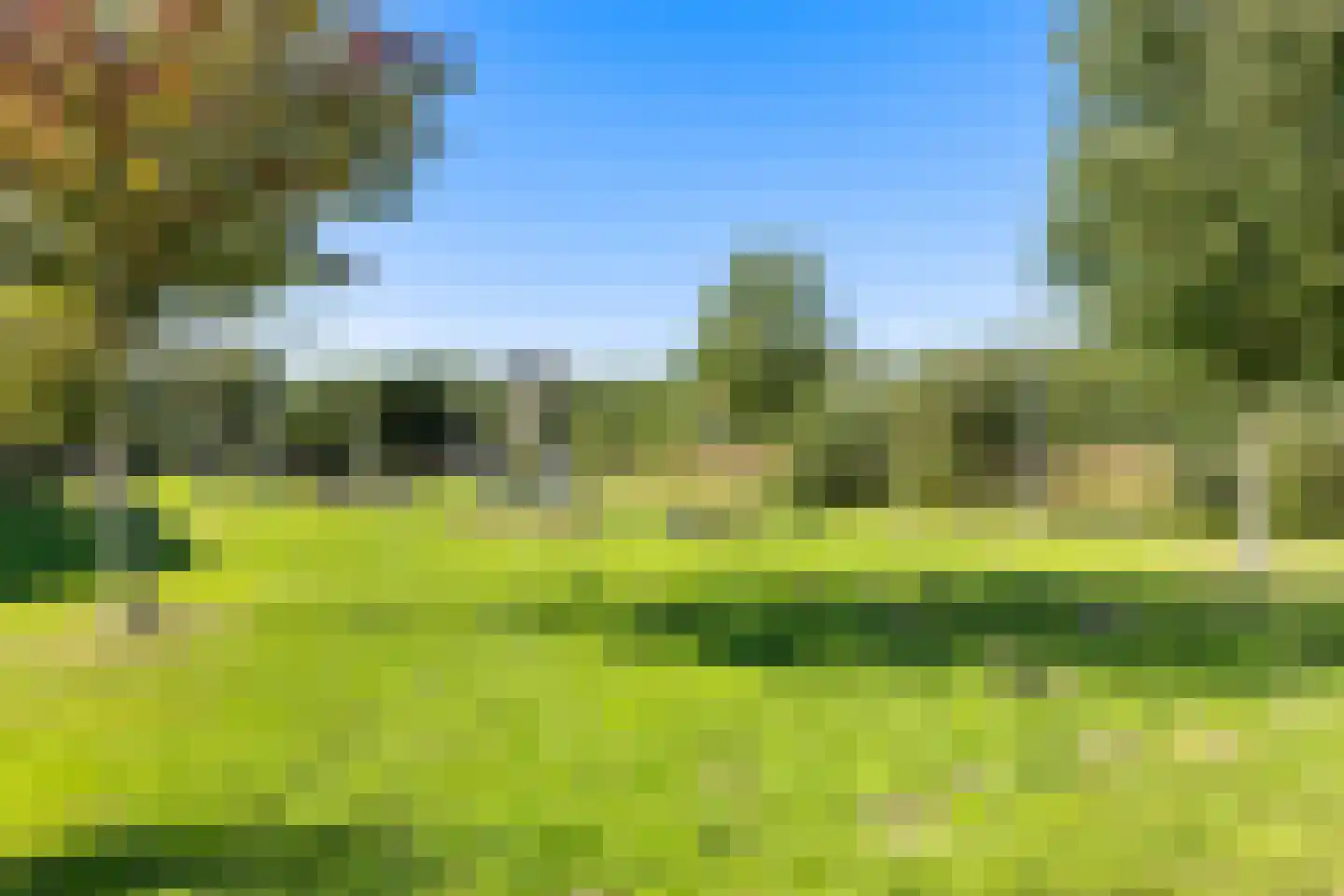 Nico Bergsteijnweg 145 Woudenberg thumbnail 50