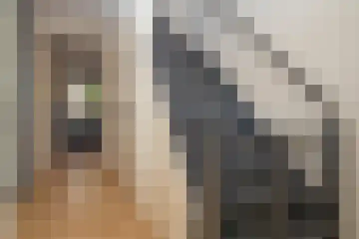 Nico Bergsteijnweg 27 Woudenberg thumbnail 15