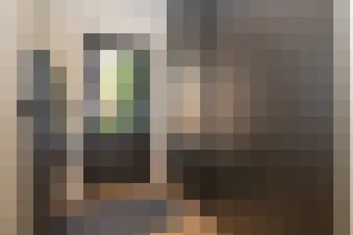 Nico Bergsteijnweg 27 Woudenberg thumbnail 17